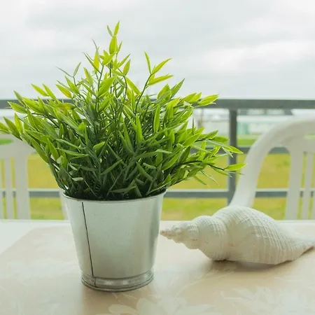 Haus Am Deich 9 Appartement *